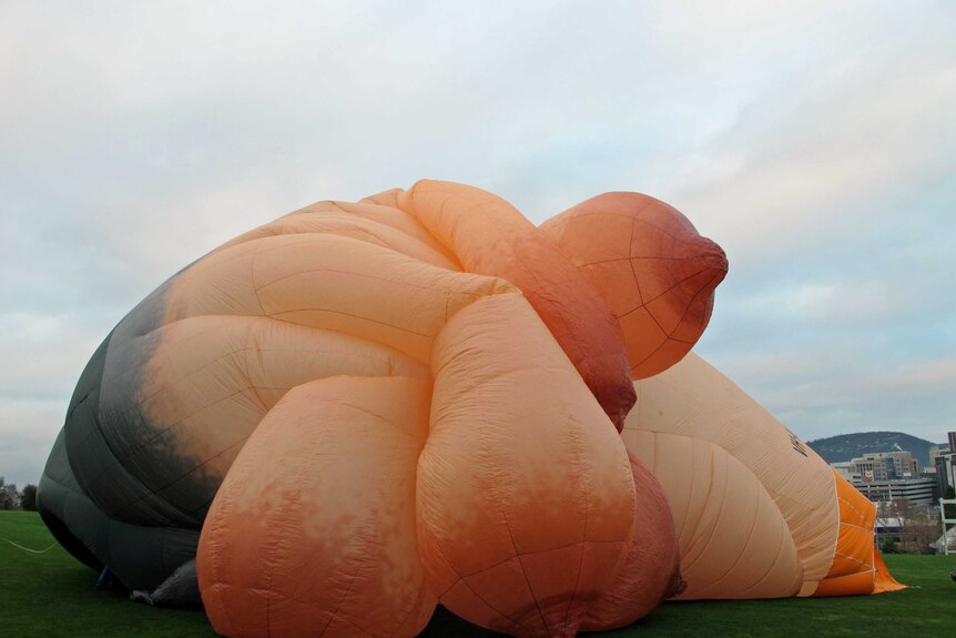 Skywhale is the work of artist Patricia Piccinni.