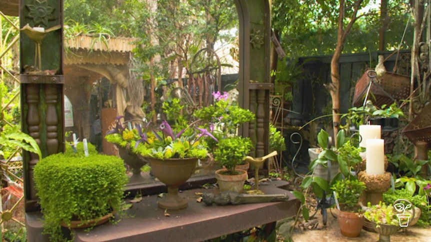 Shady garden filled with bric-a-brac