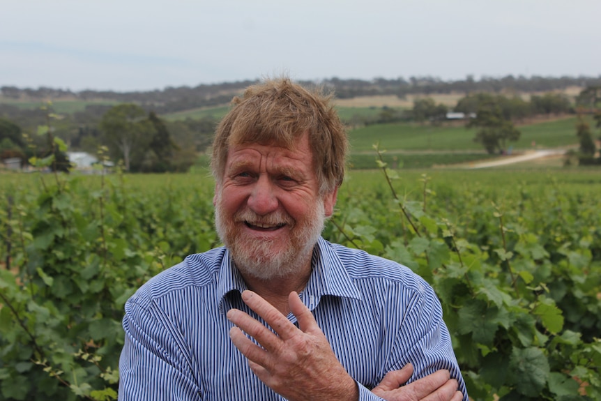 A bearded man smiling in a vineyard with the Clare Valley in the background.