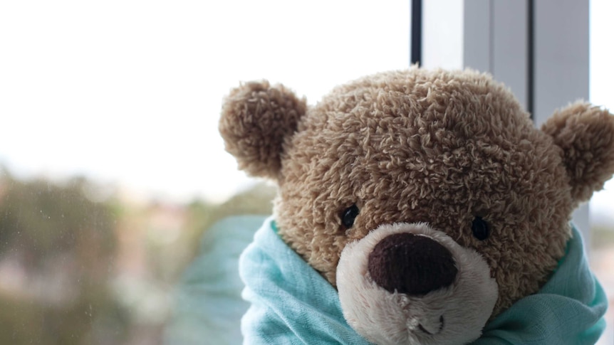 A teddy bear sits in the room of parent Matt and Hanh, whose daughter Chloe was stillborn, August 2016