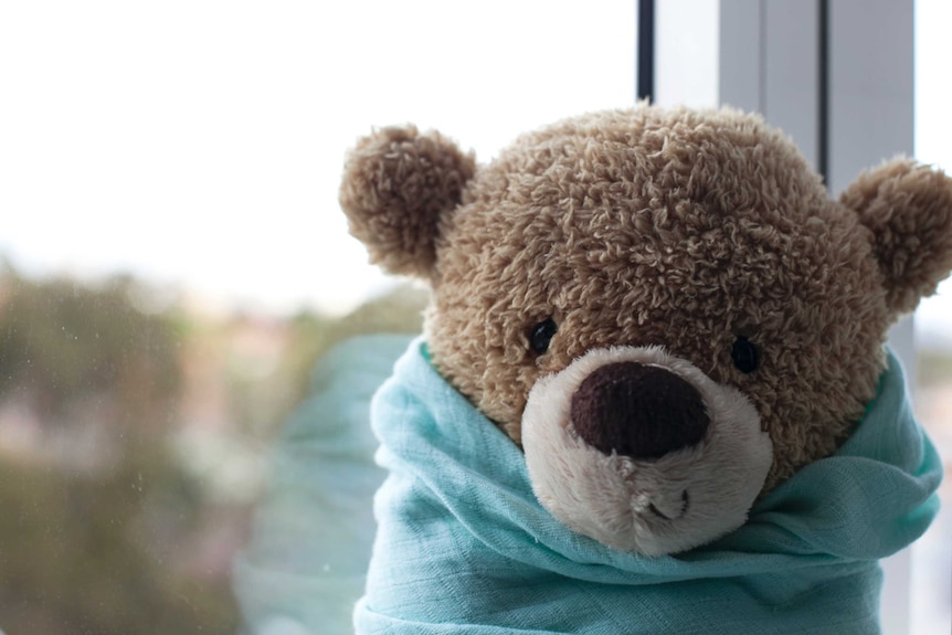 A teddy bear sits in the room of parent Matt and Hanh, whose daughter Chloe was stillborn, August 2016