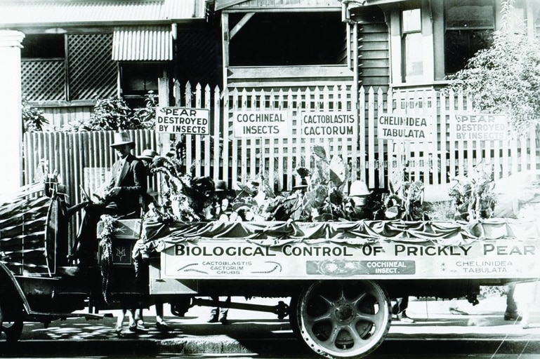 un vieux camion avec des figues à l'arrière lors d'un défilé à Brisbane dans les années 1930