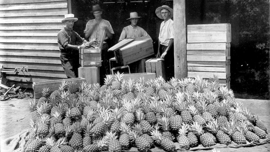 men standing in front of a pile of pineapples.