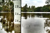 Water measures at 2.4 metres on a flood reading post.