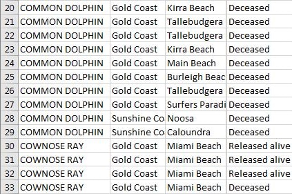 Some of the bycatch from QLD shark nets in 2014