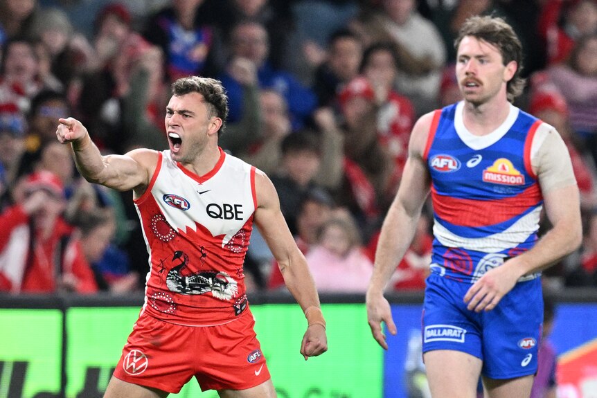 Will Hayward celebrates a Swans AFL goal against the Bulldogs.