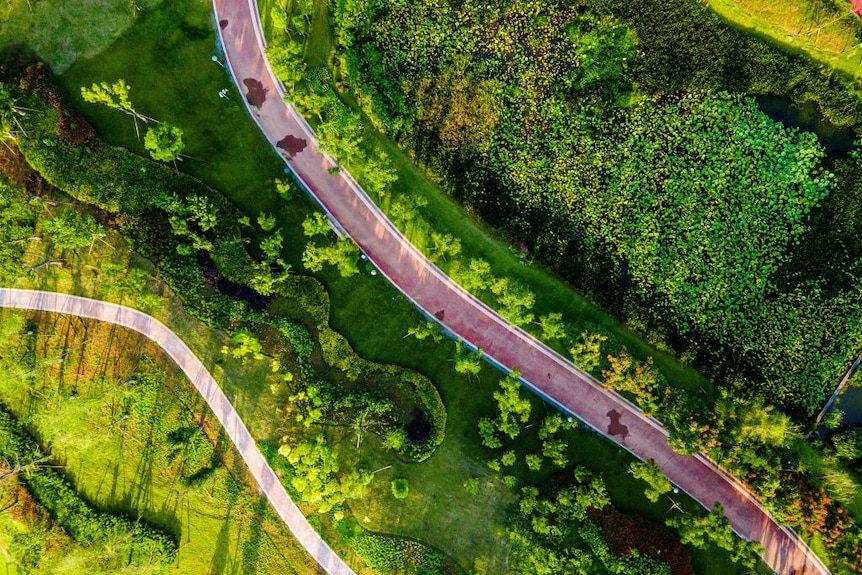 An aerial view of greenery at Chengdu city, China