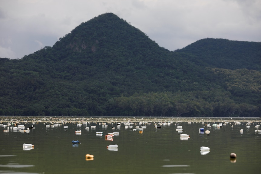 plastic bottles lie on top of a lake with mountains seen in the background 