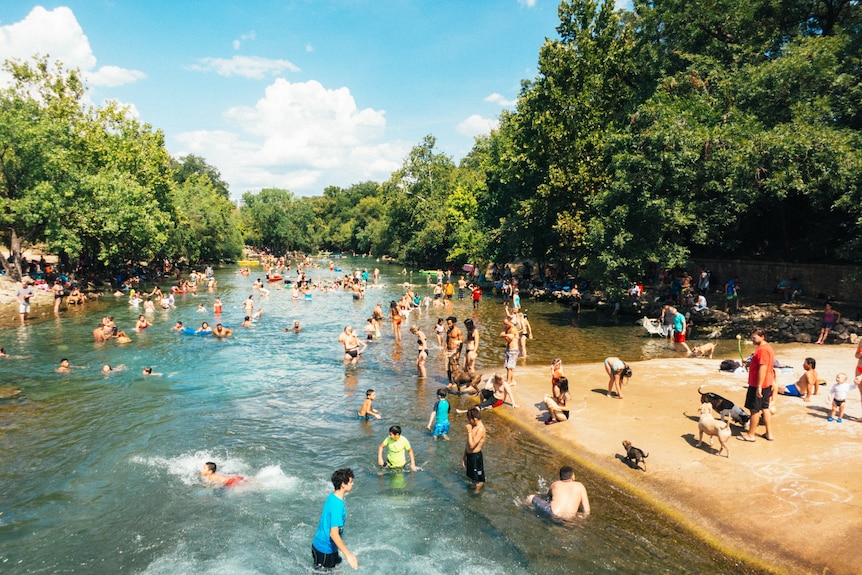 A river with bank of sand on either side and lined by trees, with many people of all ages swimming, splashing or standing in it.