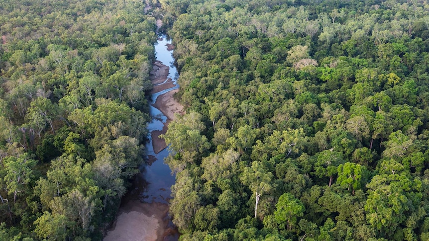 Kings Plains on the Normanby River in Far North Queensland