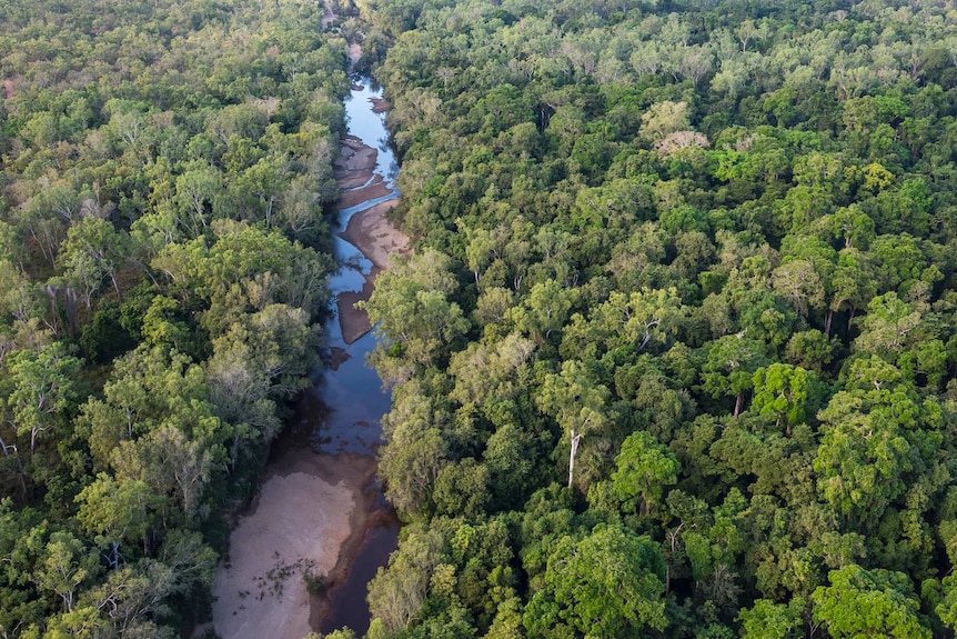 Kings Plains on the Normanby River in Far North Queensland