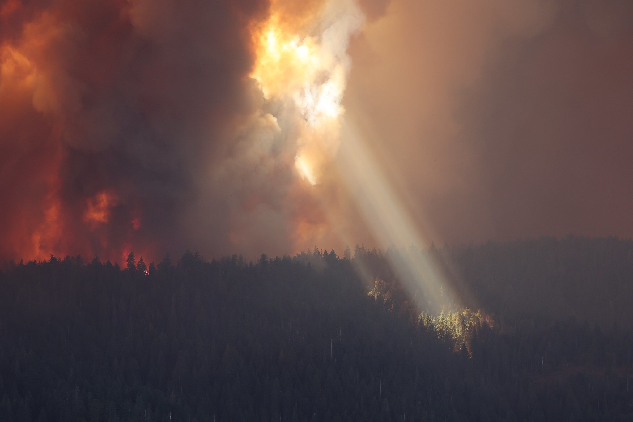 A shaft of light beams out of smoke and clouds onto a forest 