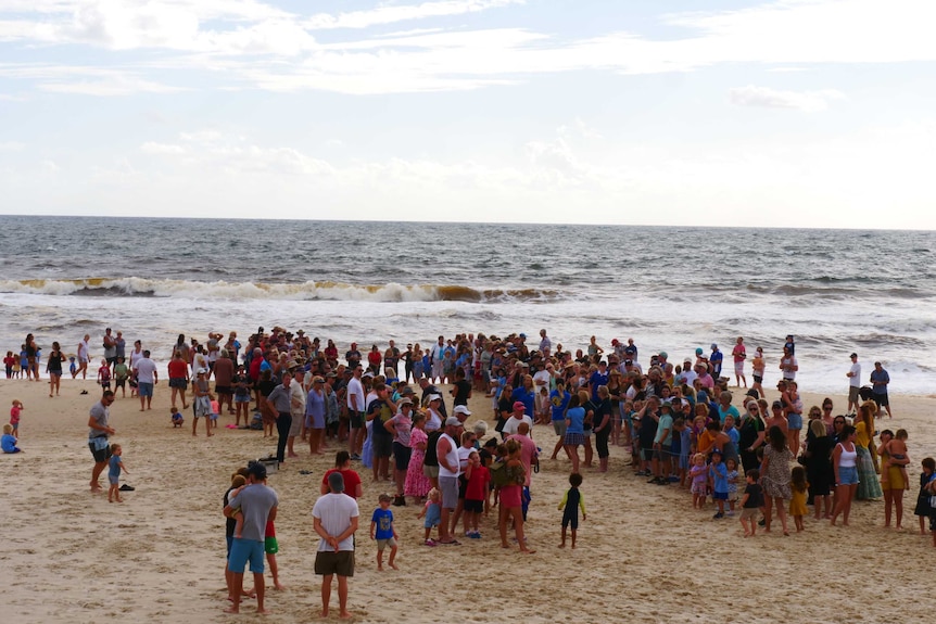 A large crowd of people gather near the shoreline at a beach.