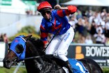 Pierro claims Sires Produce