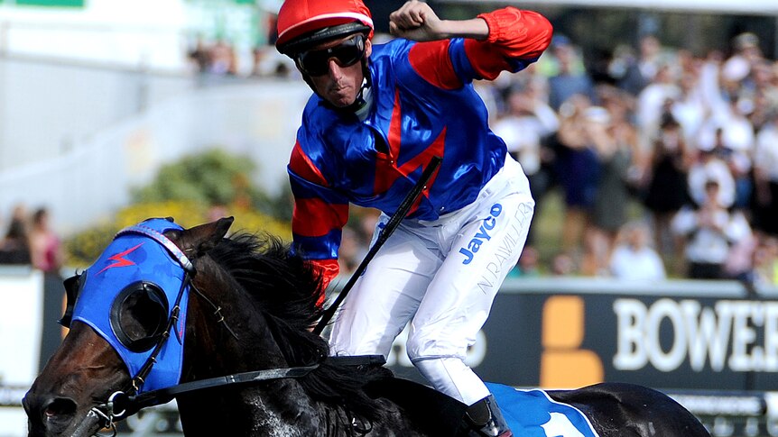 Pierro claims Sires Produce