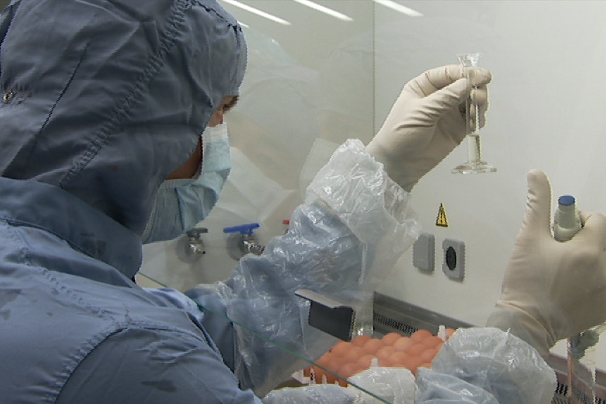 Scientists work in a lab on Q fever vaccine