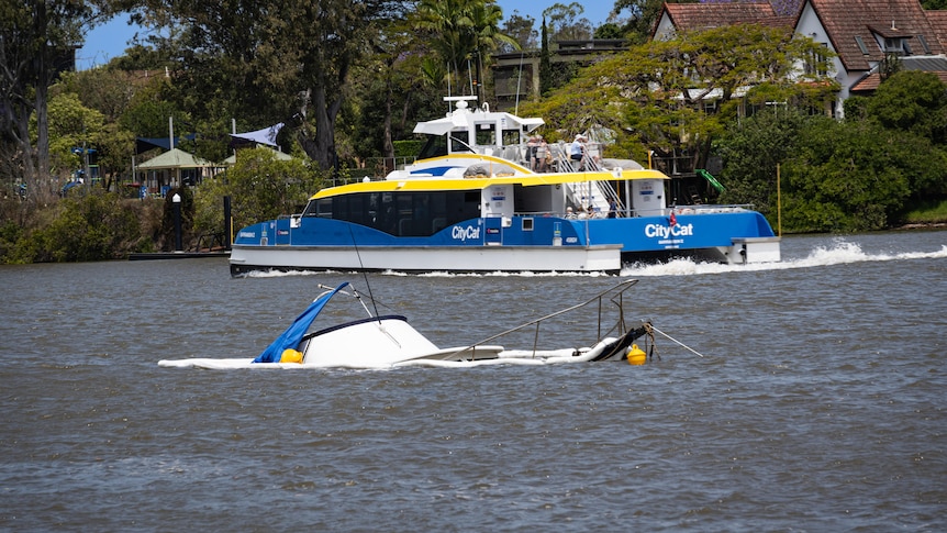 Enquêtes lancées après que le ferry CityCat s’est écrasé sur un bateau privé sur la rivière Brisbane