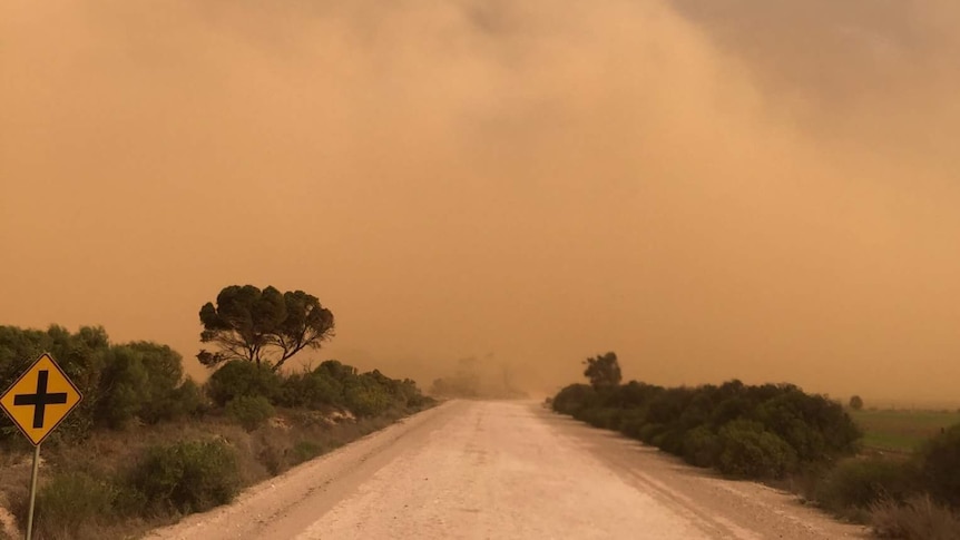 A dust storm near Cleve in SA.