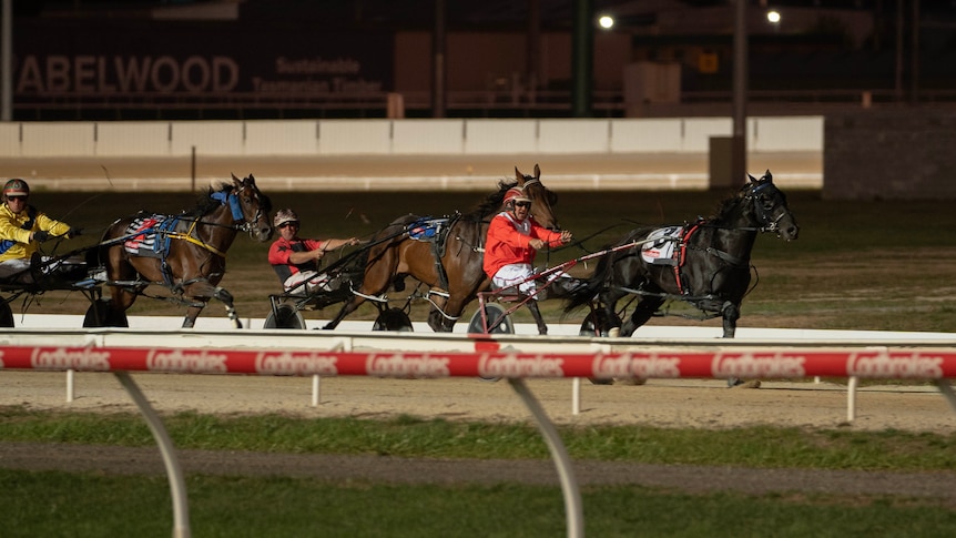 Harness horses in a race at night.