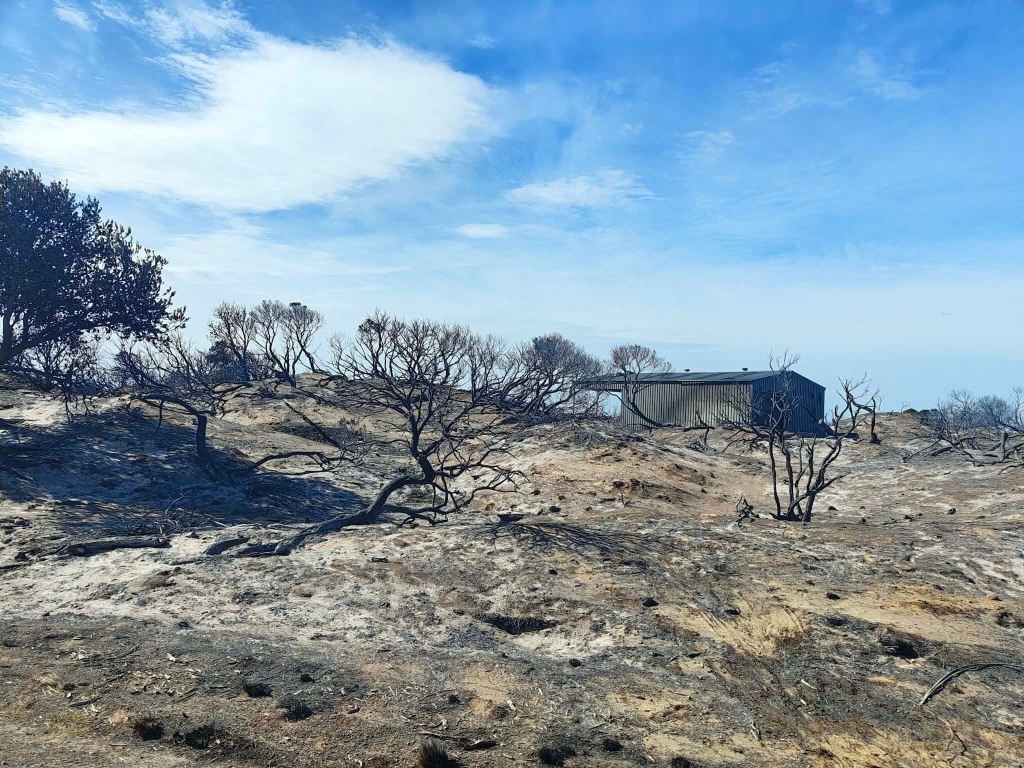Cobertizos en paisaje quemado después de un incendio forestal.
