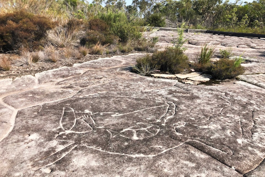 line carvings on flat rock of a human-like figure and a fish. Shrubs and bushes in the background.