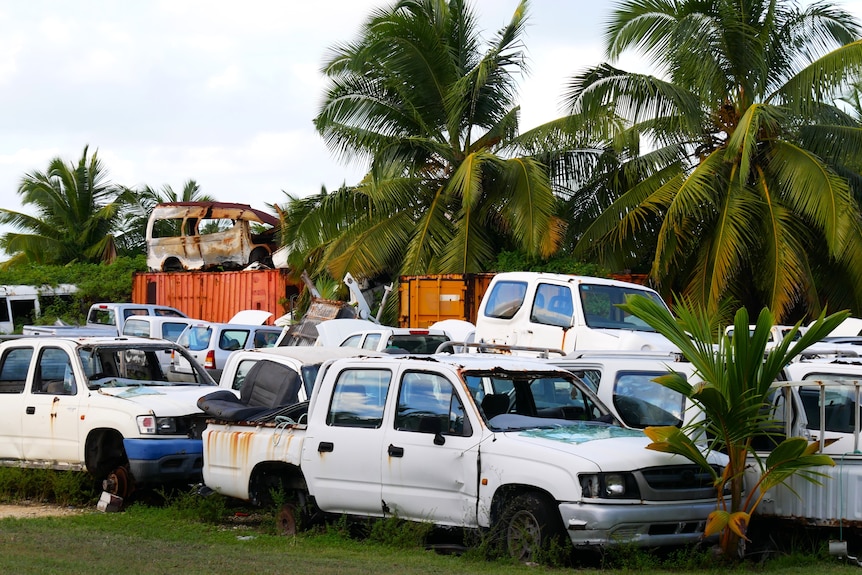 Rusting cars with smashed windscreens among tropical palms.