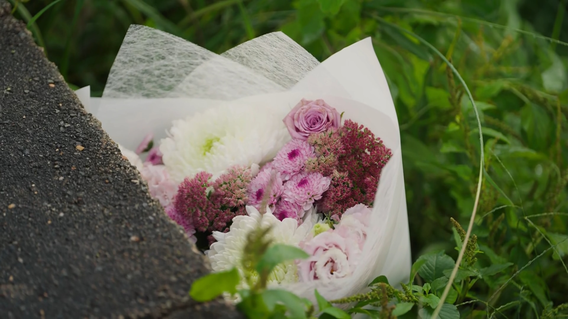 Teenagers die in motorbike crash with bus in Bossley Park, in Sydney's west - ABC News