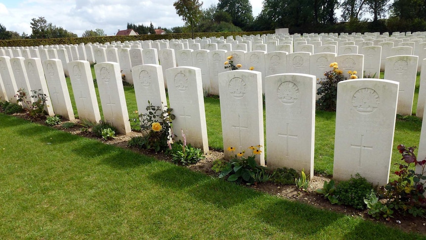 Rows and rows of grey-white tombstones, with flowers at the foot of each stone