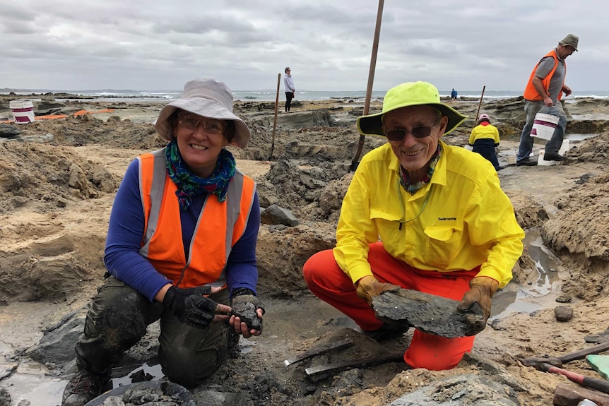Two volunteers at a palaeontology dig site at a beach