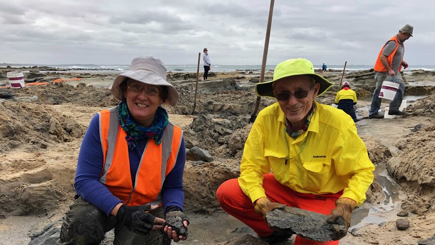 Two volunteers at a palaeontology dig site at a beach