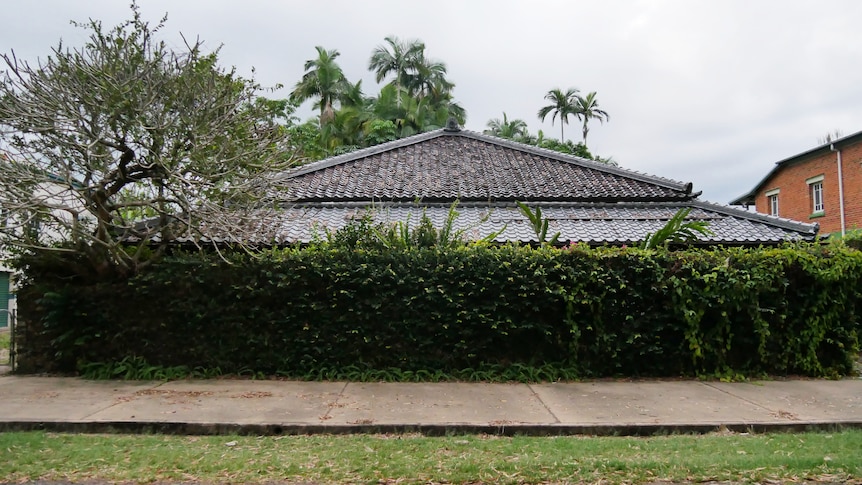 The roof of a Japanese house peeks above a thick hedge on a street