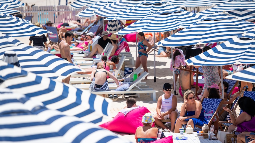 Beachgoers seek shade under umbrellas.