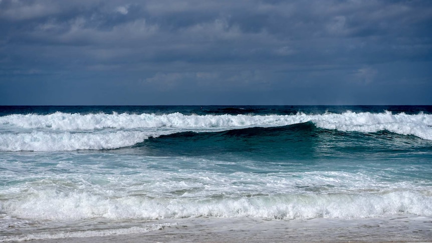 A shot of a wave crashing on a beach.