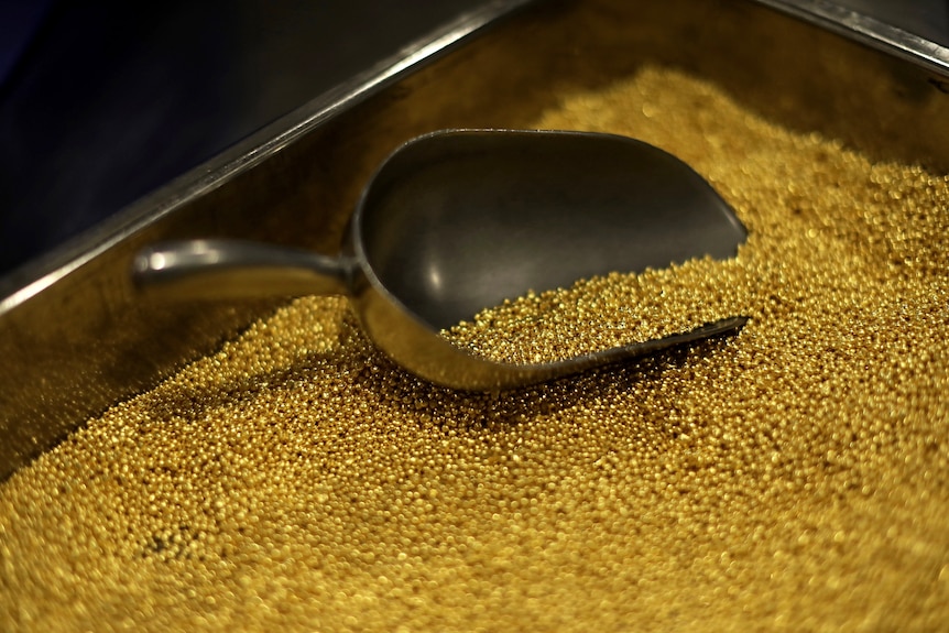 A metal scoop sits in a metal container of tiny granules of gold.