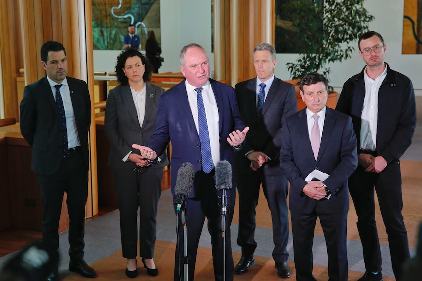 Five men and one woman stand in a line in a hall at Parliament House, as one of the men speaks at a press conference.