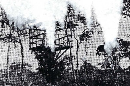 A grainy black and white photo showing a watch tower amongst some trees