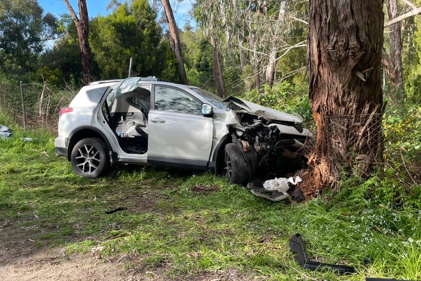 A white SUV crashed into a tree