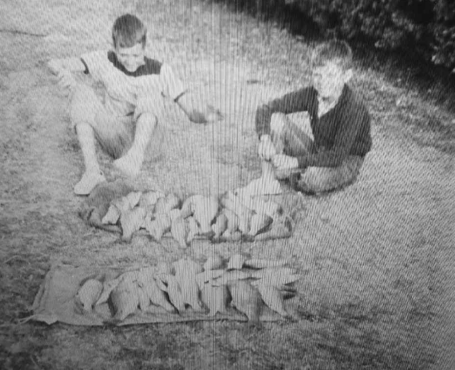 Two boys sit with a pile of fish in front of them.