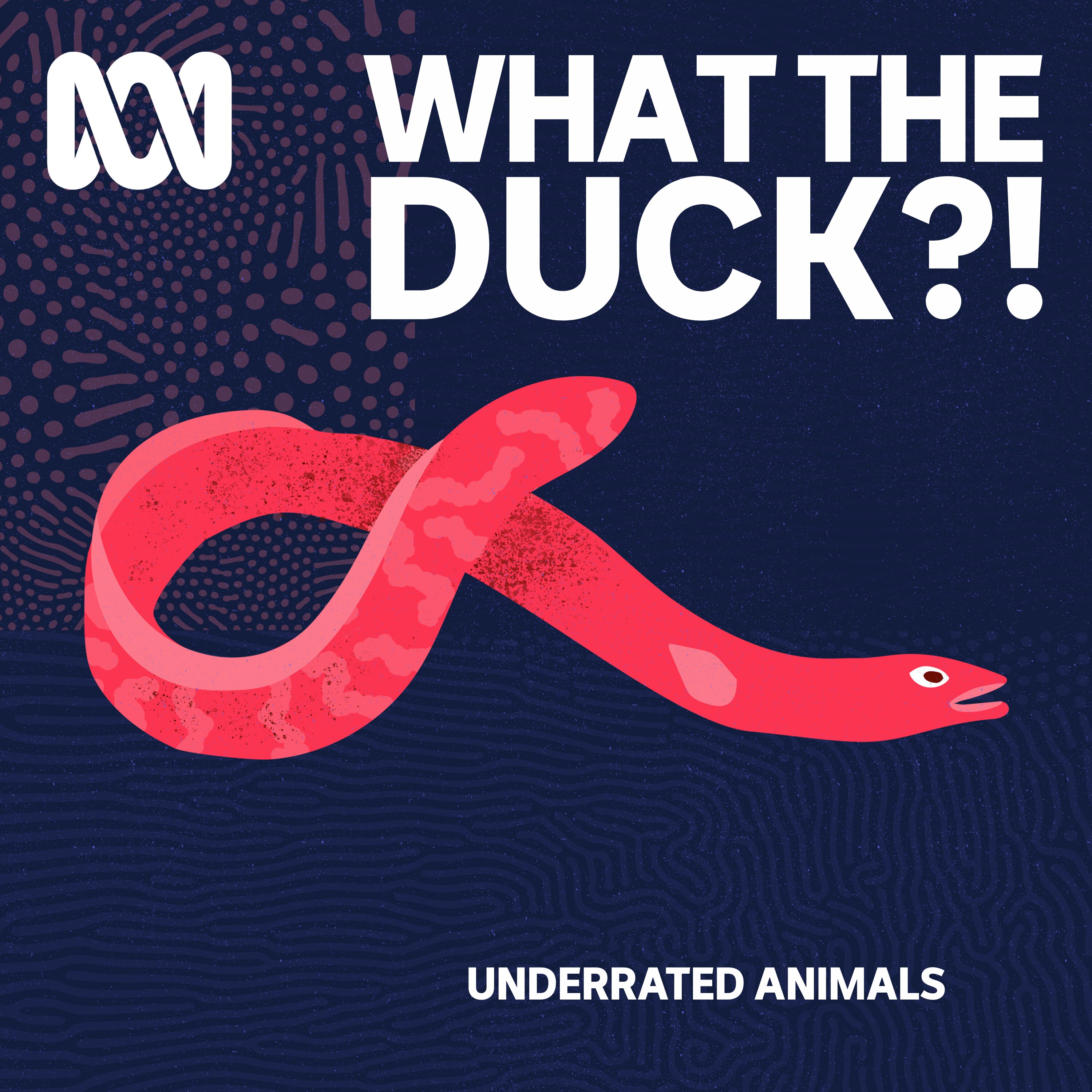 Listen to What The Duck?! to learn about the short-finned eel's epic migration