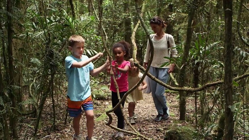 Adult and three children walking in a rainforest