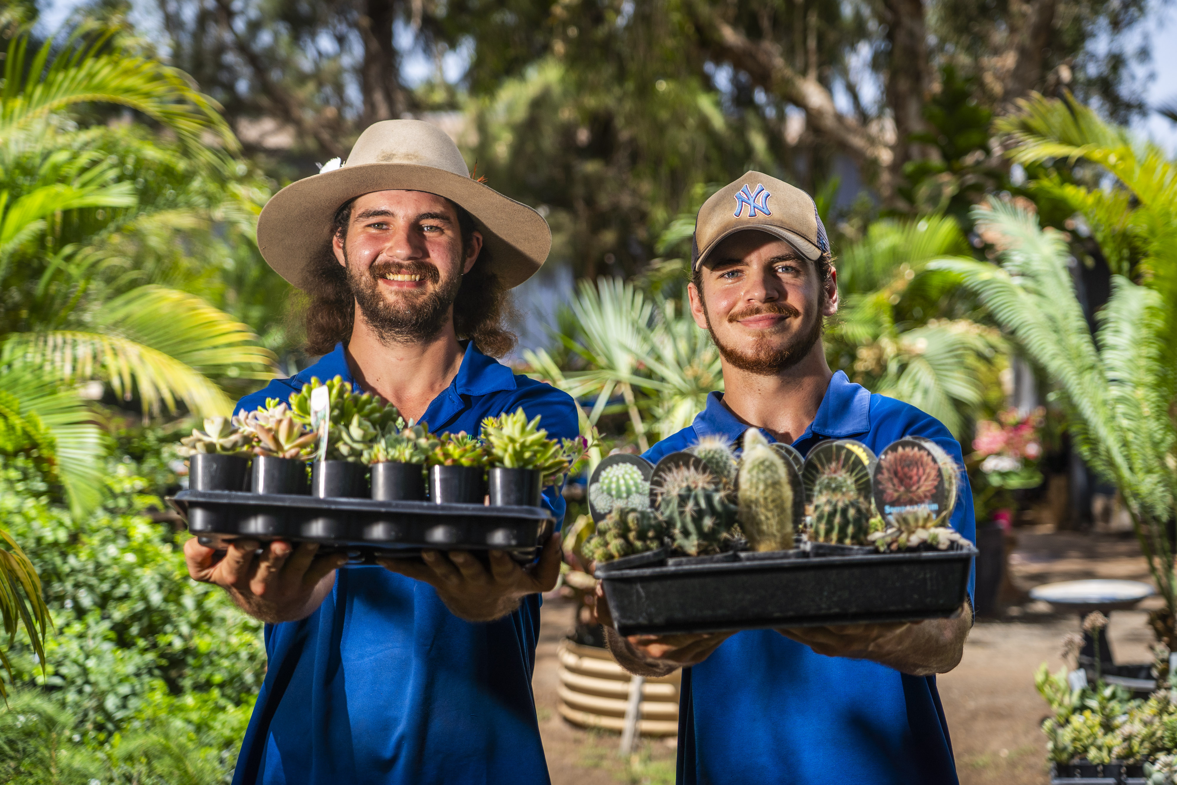 Dois homens com camisas e chapéus azuis seguram bandejas de suculentas cercadas por vegetação atrás deles.