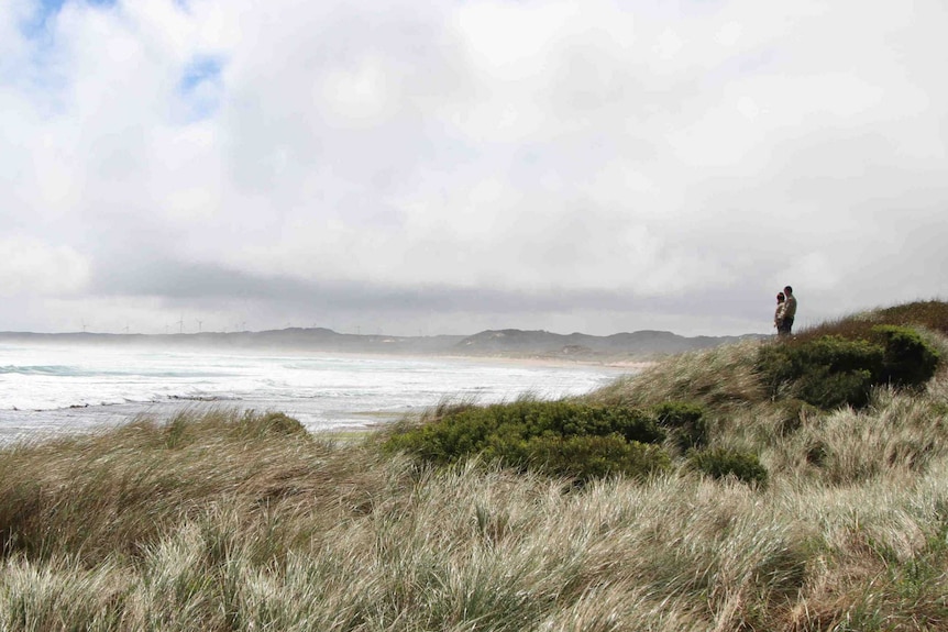 Two men stand in the grass looking over a beach