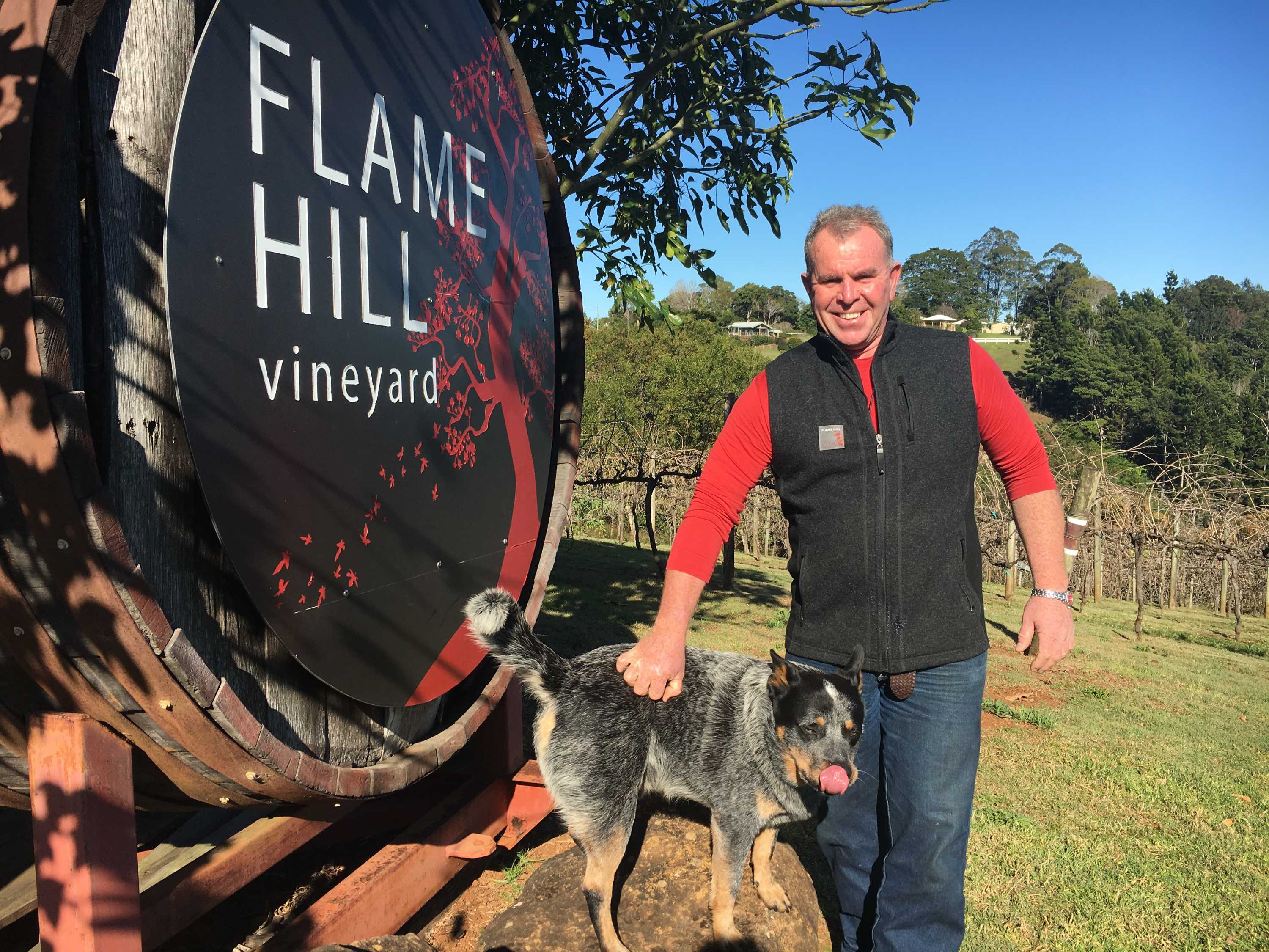 Tony Thompson poses with his cattle dog Bill at the entrance to Flamehill vineyard