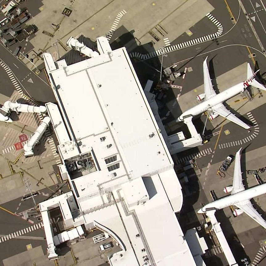 Three planes sit at the gates of Sydney airport