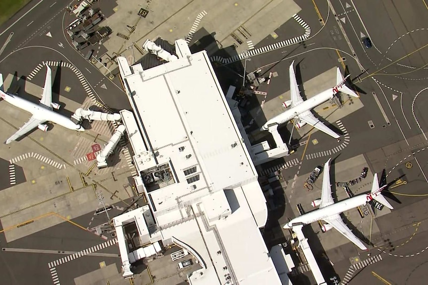 Three planes sit at the gates of Sydney airport