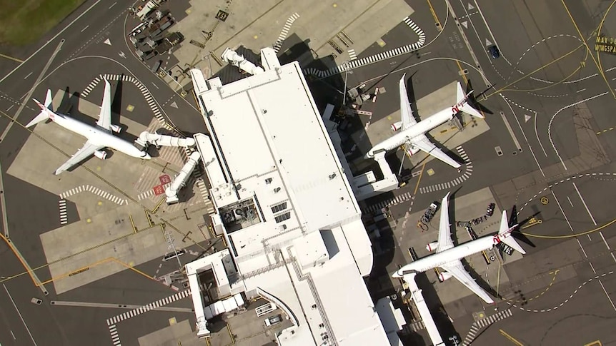 Three planes sit at the gates of Sydney airport