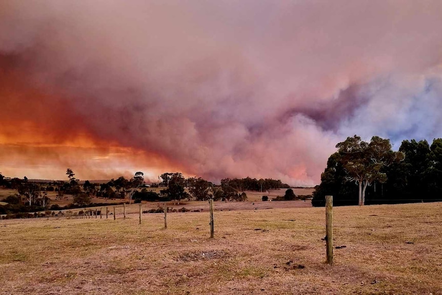 bushfire burns in distance