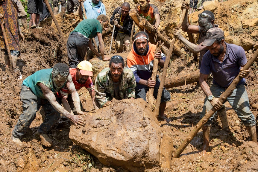 Men use long sticks to lift a large boulder in thick, wet mud looking strained