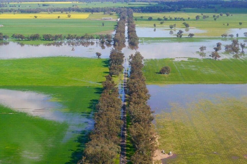 A road inundated with floodwater surrounded by paddocks