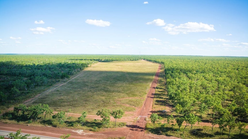 a cleared paddock surrounded by scrub.